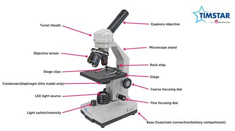 Science Microscope Labelled 的图像结果