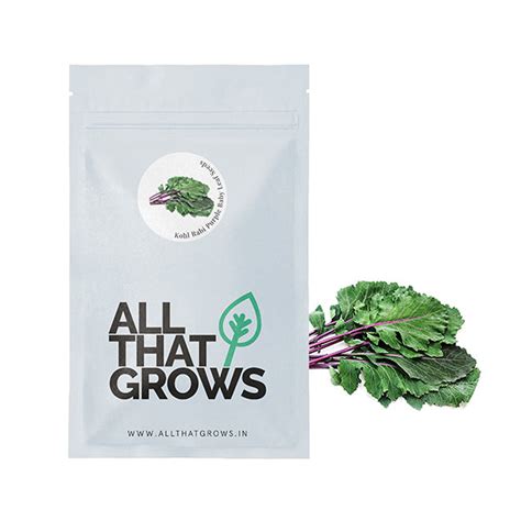 Kohlrabi Purple Baby Leaf Seeds | Shop Non-Hybrid, Non-GMO Seeds For ...