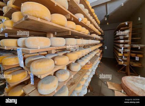 Image result for Ancient Cheese Factory