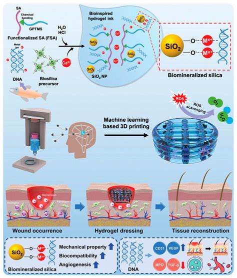 Gels | February 2024 - Browse Articles