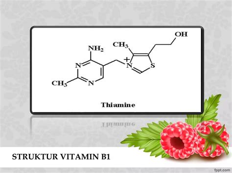 Vitamin | PPTX