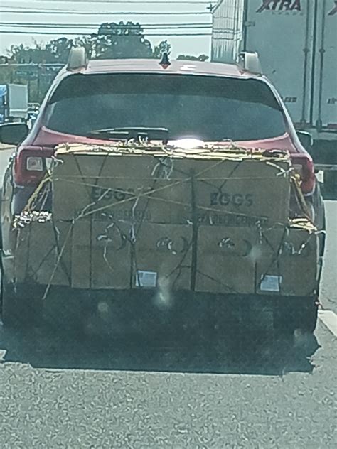 I was stuck behind Mr and Mrs Rick Fox today : r/jakeandamir