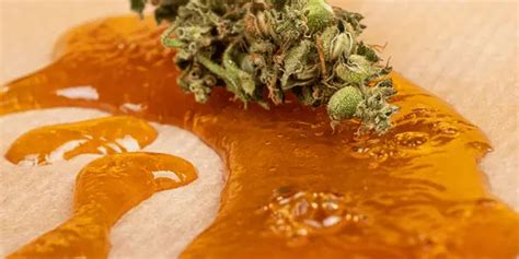 Image result for CBD Extraction Methods