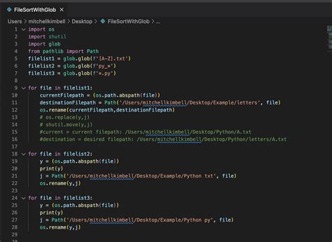 Image result for Python File Sort