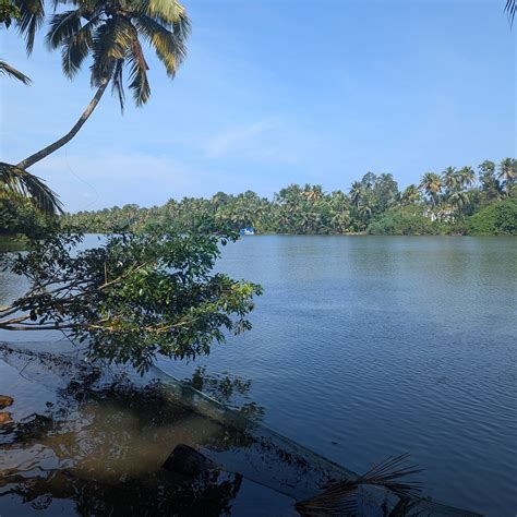 GREEN CHROMIDE RIVER VIEW WOODEN HOUSE (Munroe Island) - B&B Reviews ...