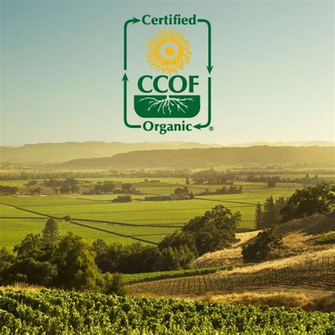 Mark Bruni on LinkedIn: Jackson Family Wines Achieves Certified ...