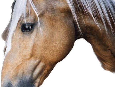 Адалят Заиржанова — Teletype