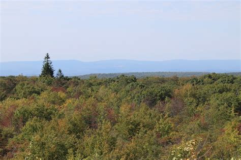 Views from PA's Highest Place: Mt. Davis in Autumn | Interesting ...