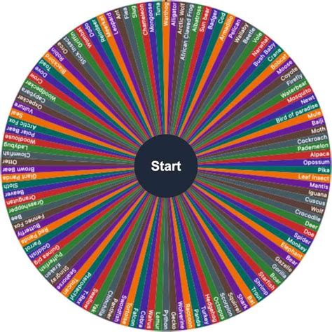 Random Wheel Generator 的图像结果