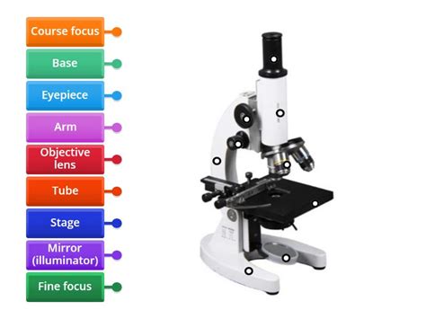 Science Microscope 的图像结果