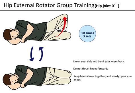 Hip-Rotation Exercises | Physio Visuals: Illustrated Exercise, Stretching, and Rehabilitation Guides