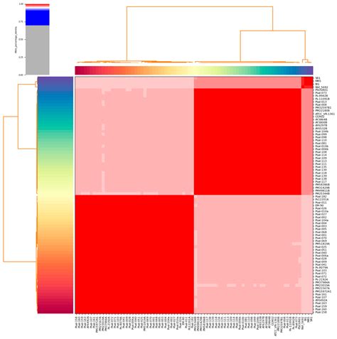 Pathogenomic Insights into Piscirickettsia salmonis with a Focus on ...