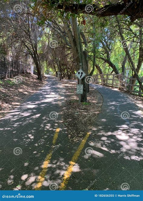 Stevens Creek Trail stock image. Image of bushes, trees - 182656355