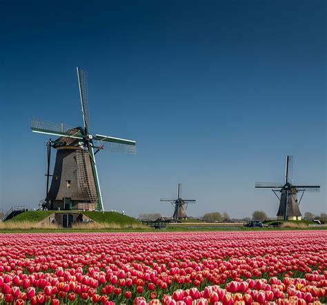 Image result for Area Code 5W0