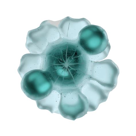 Vad är longevity och biologiskt åldrande? | Testmottagningen