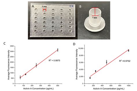 A Facile Surface Modification Strategy for Antibody Immobilization on ...