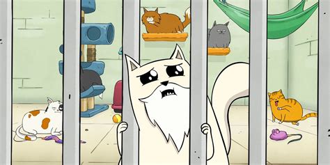 Image result for Exploding Kittens Theme Song