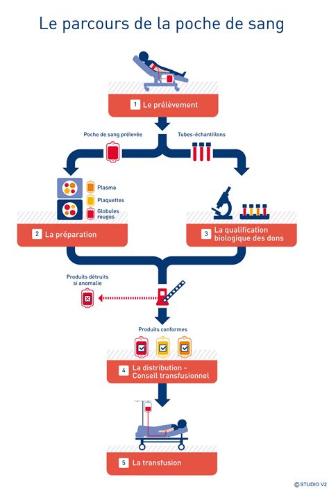 Transfusión de sangre: ¡Dona tu sangre, salva vidas! - Santeromande