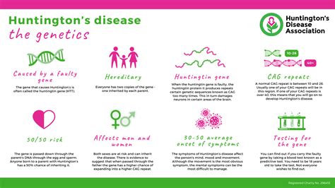 Huntington's Disease Association - A genetics guide