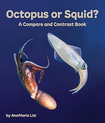 Octopus or Squid?: A Compare and Contrast Book : Lisi, Annmarie: Amazon ...