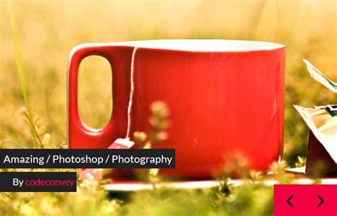 Image result for Pure CSS Image Slider