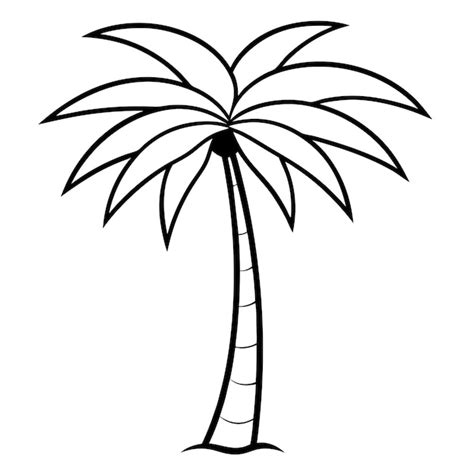 Palm tree vector illustration | Premium Vector