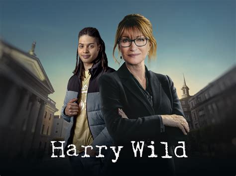 Prime Video: Harry Wild - Season 3