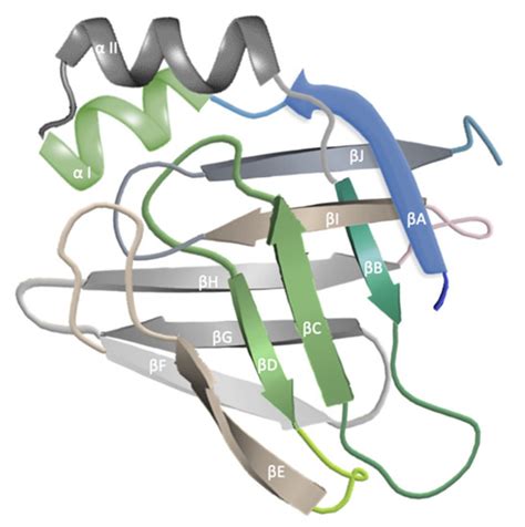 Metabolites | Special Issue : Psoriasis and Its Related Metabolic ...
