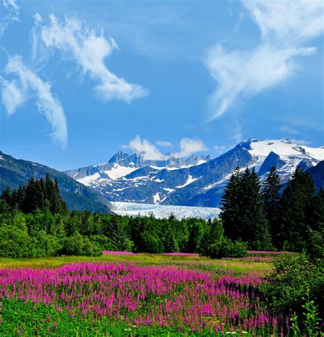 7 Night Alaska Experience Cruise from Seattle | Royal Caribbean