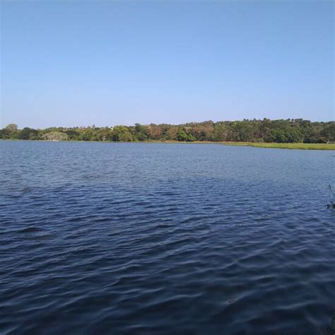 The Best Last Minute Hotels in Ribandar 2025 - Tripadvisor