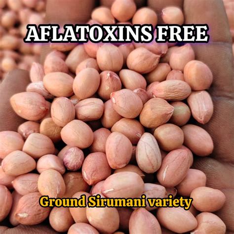 Nuts & Seeds (Sprout Activated) – Goodness Farm