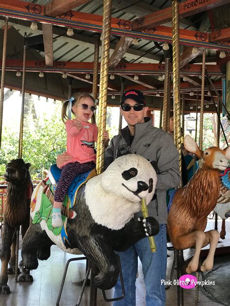 Embarrsing Spring Break 2019 的图像结果