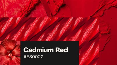 Cadmium red: Color codes, color palettes, and uses