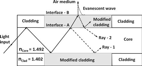 Optical Fiber 的图像结果