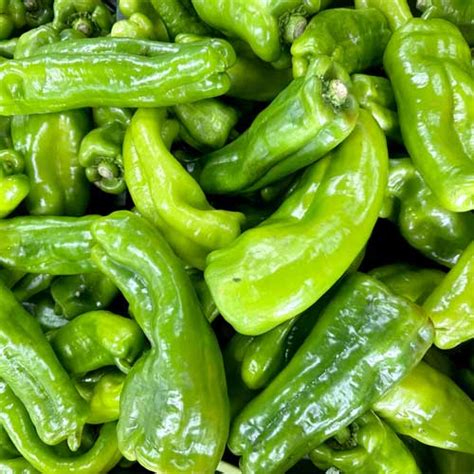 Buy Cubanelle Pepper Chilli Imported Seeds - Mild, Sweet, and Easy to Grow