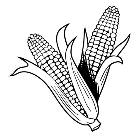 Set of ripe corn and corn silhouette hand drawn illustration | Premium ...