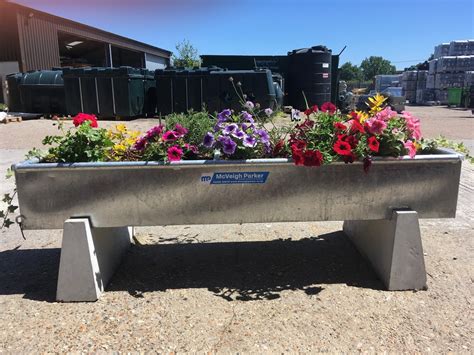 Galvanized Water Trough Planter Ideas at Yvonne Roy blog