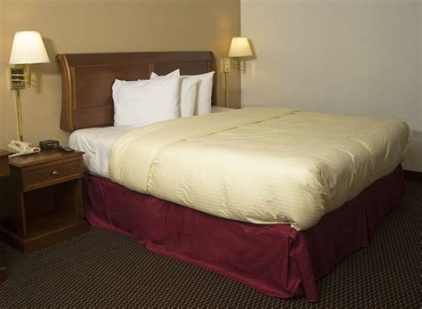 EXPRESS INN & SUITES (Palestine) - Motel Reviews, Photos, Rate ...