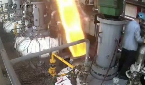 Chick Explodes 的图像结果