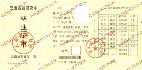 禄丰县第一中学2007年高中毕业证-毕业证样本网