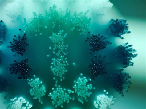 Microbiology Computer Backgrounds 的图像结果