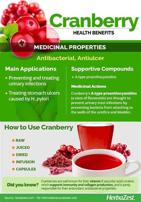 Cranberry Herbal Supplements Benefits at Lindsey Watson blog