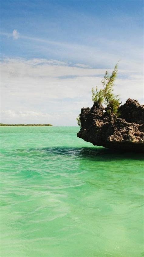 Bing Wallpaper Android Phone 的图像结果