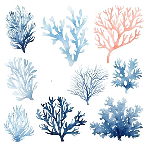 Watercolor Coral Clip Art Blue, Watercolor, Seaweed, Sea PNG ...