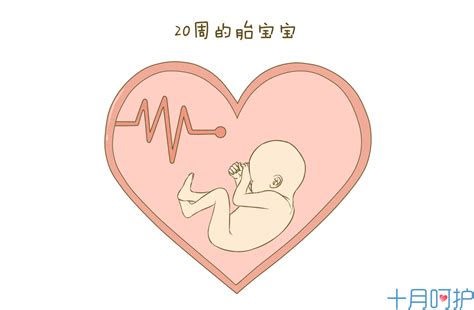 孕24周检查，就算老公再忙也要陪同，对胎儿很重要-搜狐大视野-搜狐新闻