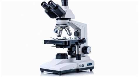 A White Compound Microscope With Binocular Eyepieces and Rotating ...