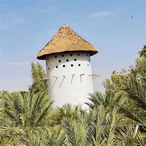 NOFA RIYADH, A RADISSON COLLECTION RESORT - Hotel Reviews, Photos, Rate ...