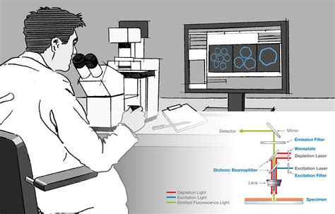 Image result for Super-Resolution Microscopy