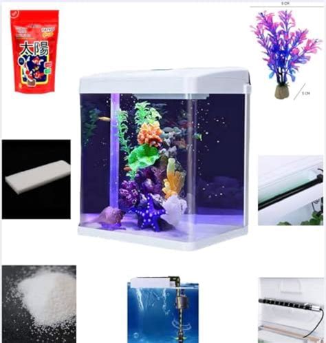 Modern Fish Tank Combo Size 20 L Fish Tank with Light, Filter, Sponge ...